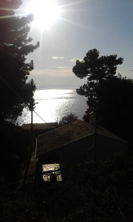Ionian Paths *